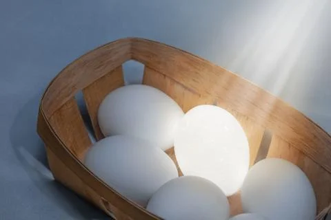 Egg tray with one lighted egg Stock Photos