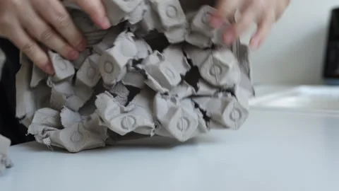 Egg tray paper waste press Stock Footage 251635991