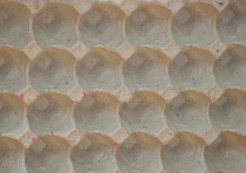 Egg tray Stock Photos