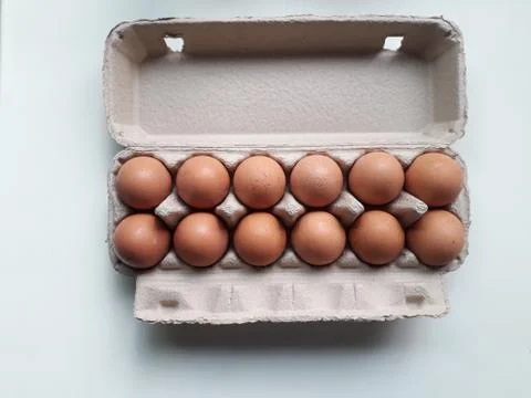 Egg tray 写真素材