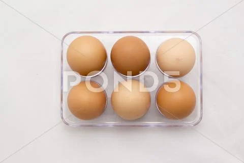 Egg Tray, Six Eggs, Full Number Stock Photos