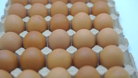 Egg tray on white background. Stockbeeldmateriaal 169326678