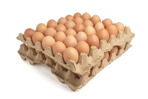 Egg tray on white background Stock Photos