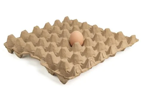 Egg tray on white background Stock Photos