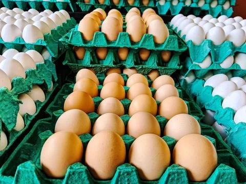 Egg trays of assorted eggs. Stock Photos
