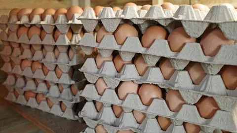 Egg trays with brown eggs Stock Photos