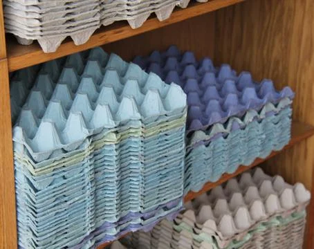 Egg Trays. Foto stock