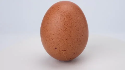 Egg turning isolated on white background. Brown shelled chicken egg close-up Stock Footage 248435272