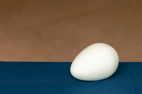 Egg on a uniform background of two colors Stock Photos