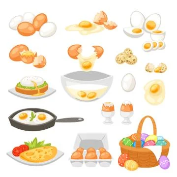 Egg vector easter food and healthy eggwhite or yolk in egg-cup or cooking Stock Illustration