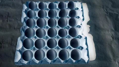 Egg in a vert filtered 写真素材