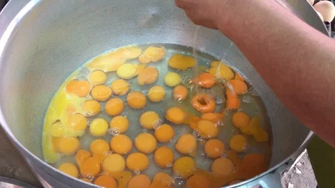 Egg whipping Stock-Footage 91001358