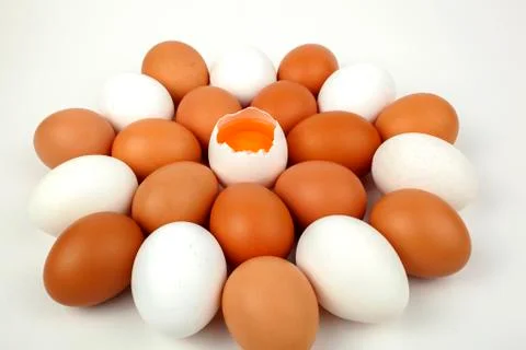 Egg-White and Brown- isolated. Stock Photos
