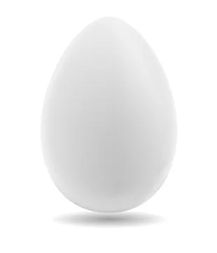 Egg on a white background Stock Illustration