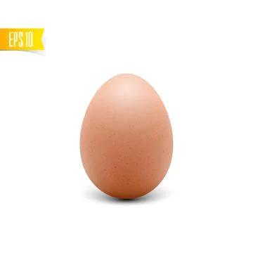 Egg on white background Stock Illustration