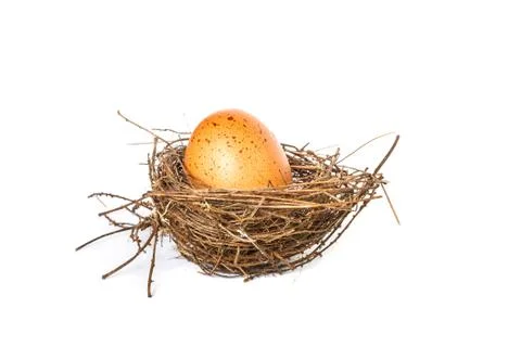Egg on a white background Stock Photos