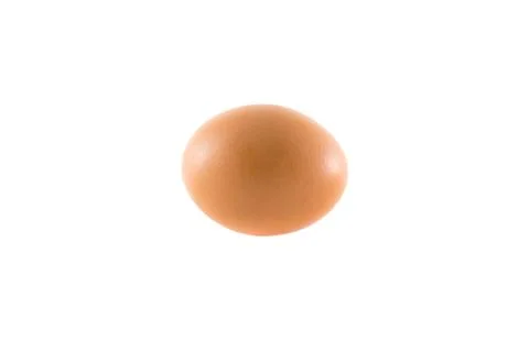Egg on white Background Stock Photos
