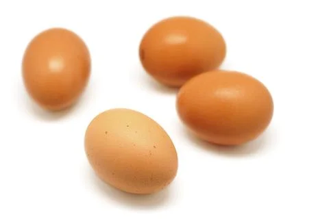 Egg on white background Stock Photos