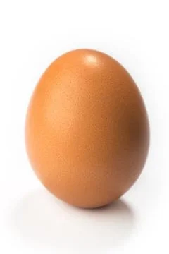 Egg on a white background Stock Photos