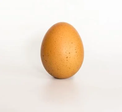 Egg on white background Stock Photos