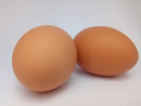 Egg in  white background Foto stock