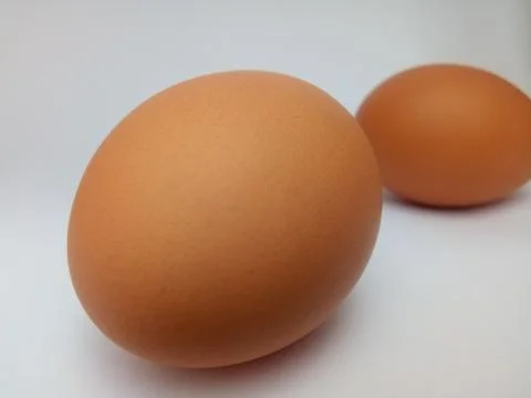 An egg on a white background Foto stock