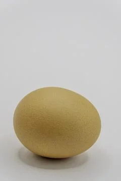 An egg on a white background Stock Photos