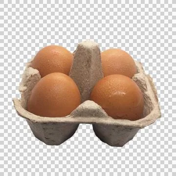 Egg  on white background Stock Photos