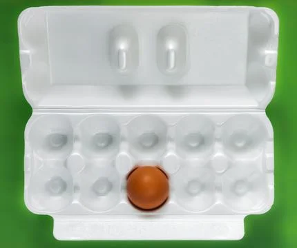 Egg in white empty container box. Top view. Stock Photos