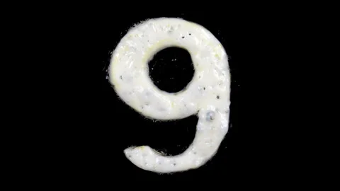 Egg white frying number nine, 9, two looped 10 seconds duration versions Video stock 130899349