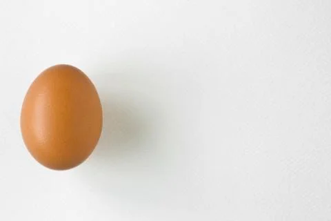 Egg on white texture paper Stock Photos