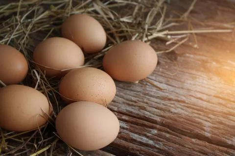Egg on wooden background. Foto stock