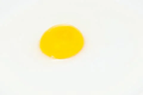 Egg yellow Stock Photos