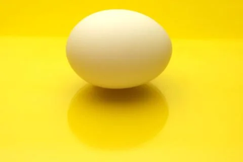 Egg on Yellow Stock Photos