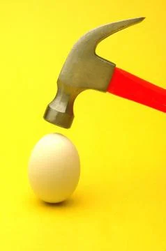 Egg on Yellow Stock Photos