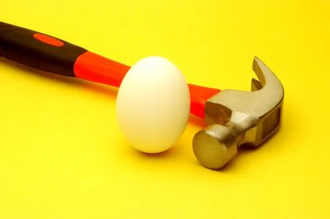 Egg on Yellow Stock Photos