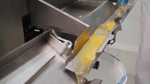 Egg yolk and egg white in the machine in food production Stock Footage 322507705