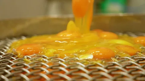 Egg yolk dripping through the filter grate. Industrial egg processing grid. Stock Footage 256061143
