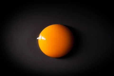 Egg yolk isolated on black background with space for copy Stock Photos