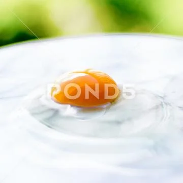 Egg yolk on marble - recipe ingredients and homemade cooking concept Stock Photos