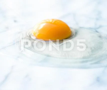 Egg yolk on marble - recipe ingredients and homemade cooking concept Stock Photos