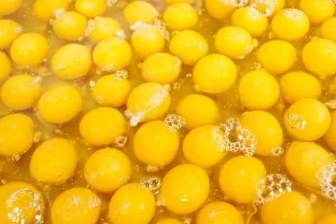 Egg yolk Foto stock