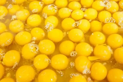 Egg yolk Foto stock