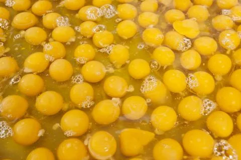 Egg yolk Stock Photos
