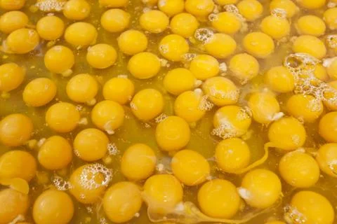 Egg yolk Stock Photos
