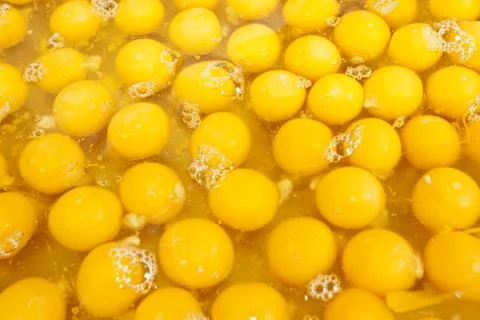 Egg yolk Stock Photos