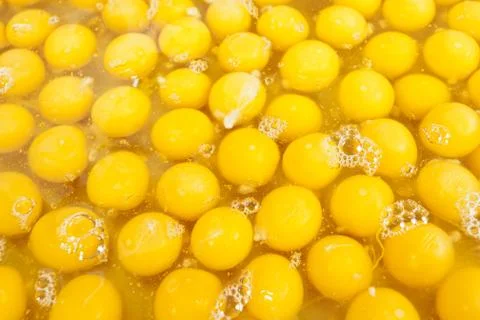 Egg yolk Stock Photos