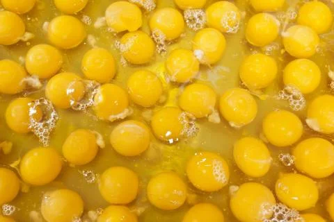 Egg yolk Stock Photos