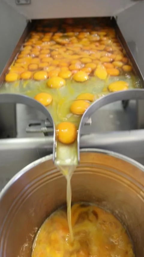 Egg yolks being separated Stock Footage 296186690