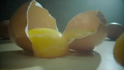 Egg yolks laowa macro camera move Stock Footage 197703435